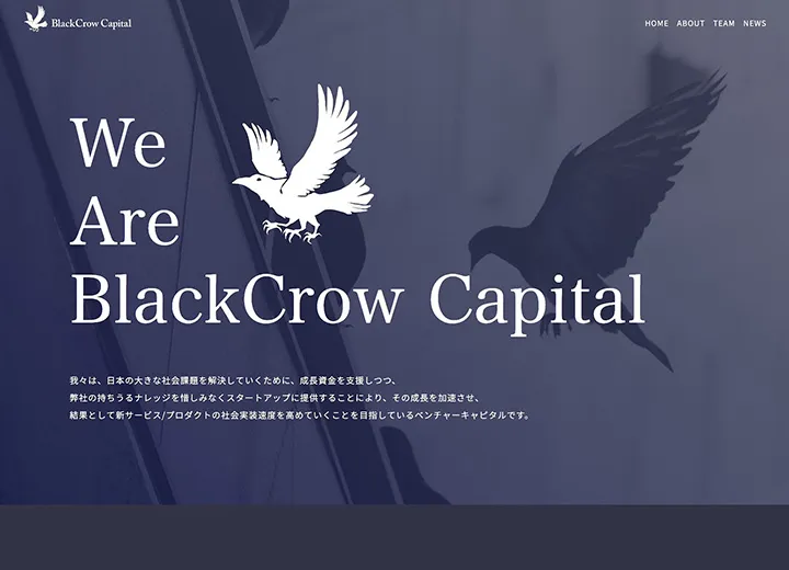 BlackCrow Capitalのイメージ