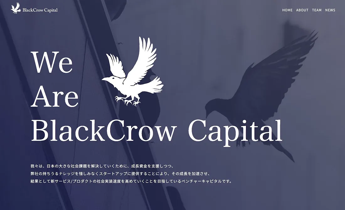BlackCrow Capitalのイメージ